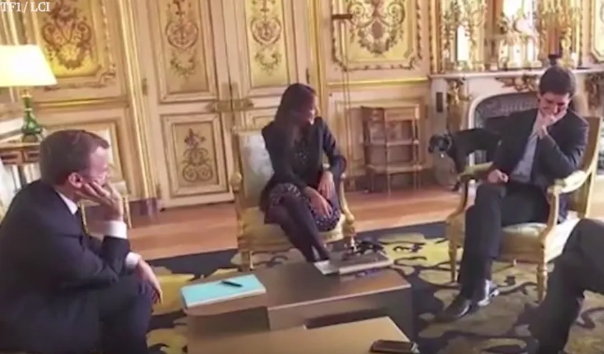 Imagini amuzante cu câinele preşedintelui Emmanuel Macron. Nemo, filmat în timp ce urina în Palatul Elysee VIDEO