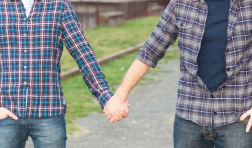 Proiect privind parteneriatul civil: Partenerii de acelaşi sex nu pot adopta copii, împreună sau separat