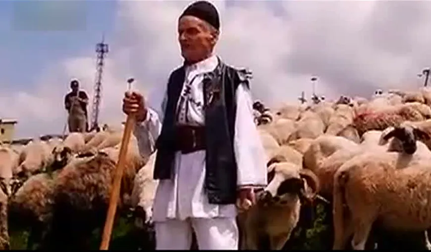 Povestea ciobanului care are 100 ani. Merge pe jos câte 30 de kilometri în fiecare zi, mănâncă mâncare curată, cântă de răsună văile