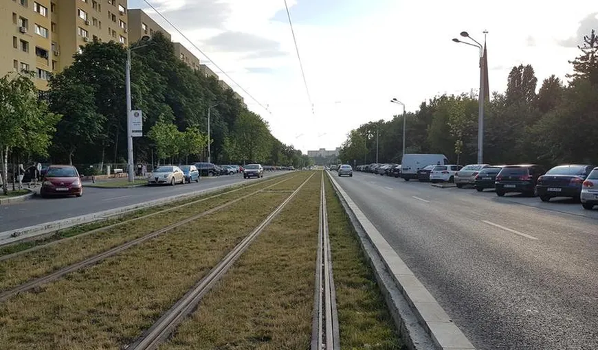 Primaria Sectorului 5 vrea să înverzească liniile de tramvai din Rahova