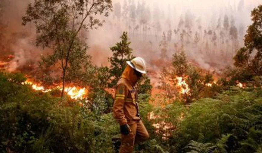 Ministrul de Interne al Portugaliei a demisionat din cauza slabei reacţii a autorităţilor faţă de incendiile de vegetaţie