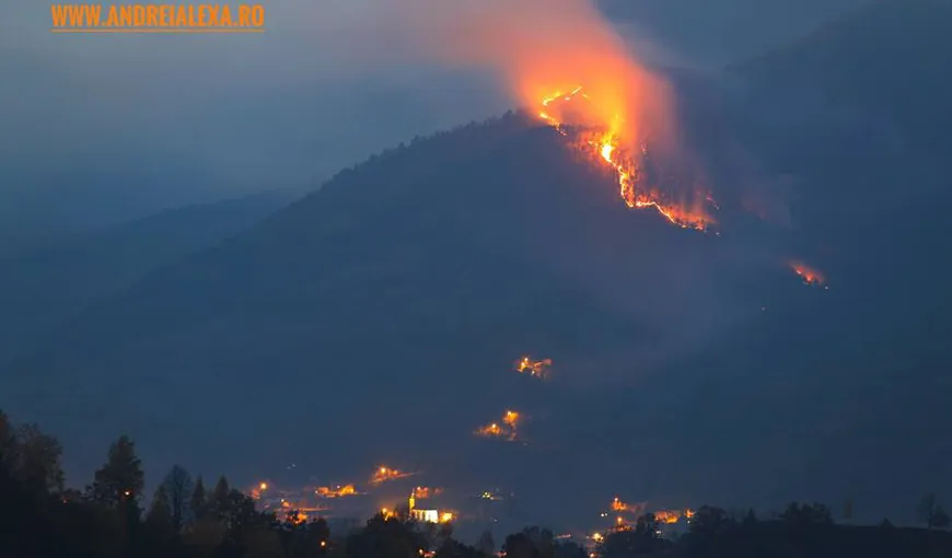 Incendiu în Apuseni. Arde pădurea Sălciua. Incendiul s-a întins pe 10 hectare. Pompierii şi sătenii se luptă cu focul