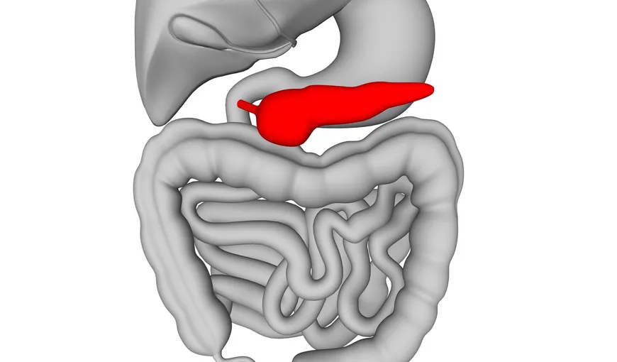 Semnele unui pancreas inflamat