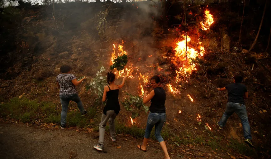 Au izbucnit din nou INCENDII de pădure în Portugalia
