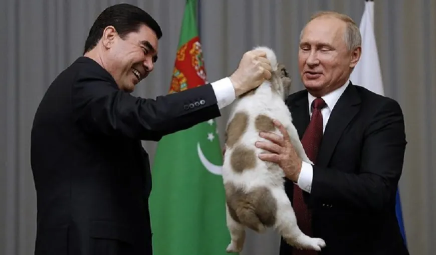 Putin a primit cadou de ziua lui de naştere un pui de ciobănesc din Asia Centrală