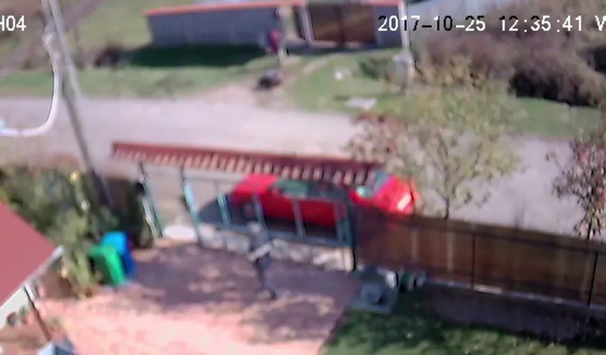 Poştăriţă sfâşiată de un boxer, o cameră de supraveghere a înregistrat atacul VIDEO