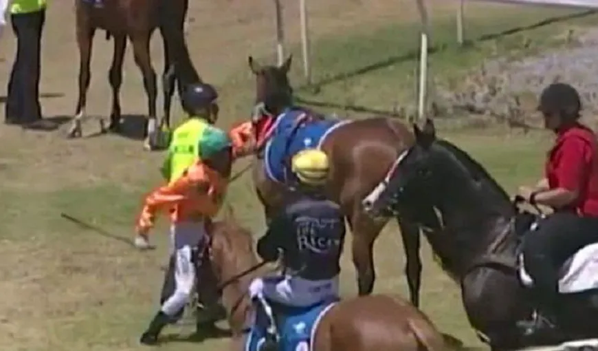 Un jocheu şi-a lovit calul cu pumnul înaintea unei competiţii. Ce pedeapsă a primit VIDEO