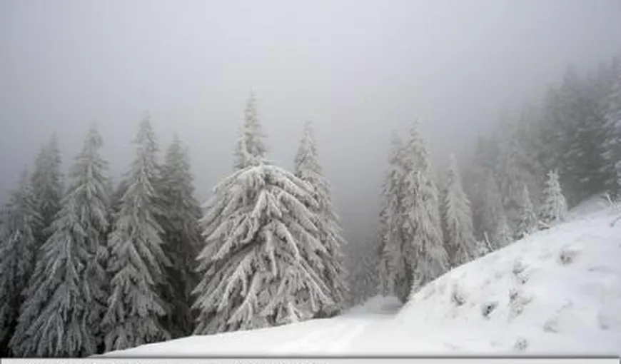 Viscol în Bucegi. Zăpada are peste un metru pe văi VIDEO