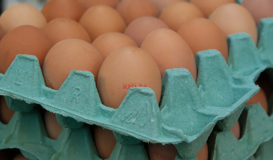 Daea despre creşterea preţului ouălor: Acum este un puseu pe piaţă generat de scandalul Fipronil