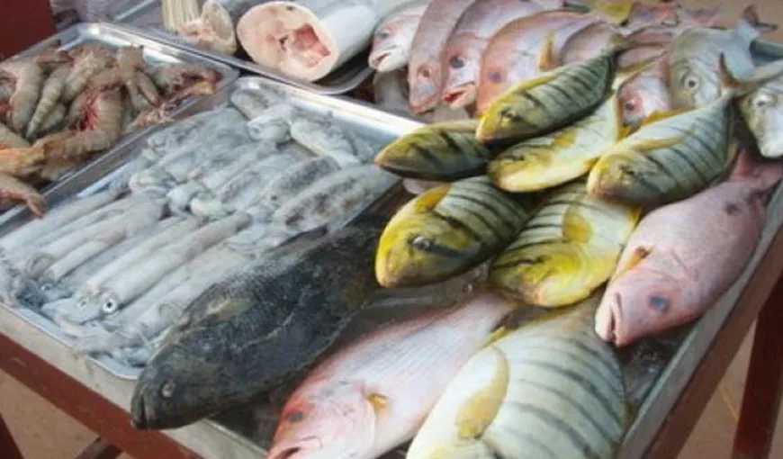 ANSVSA controlează comercianţii şi procesatorii de peşte
