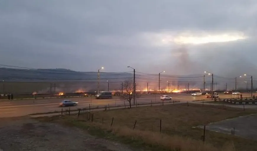 Incendiu de vegetaţie lângă Iaşi, locuitorii de la periferia oraşului au privit flăcările cu groază
