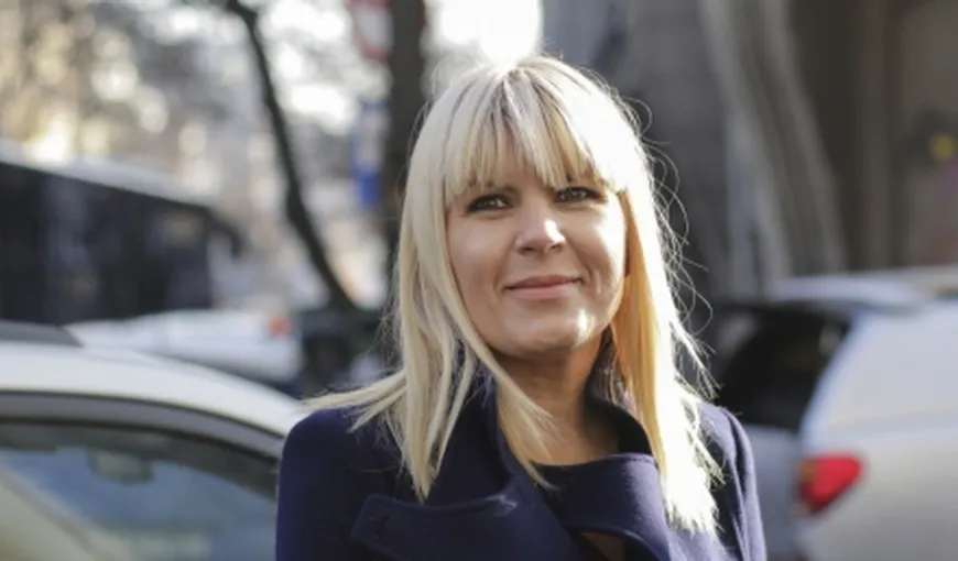Elena Udrea: Au existat nereguli la un proiect cu fonduri europene la CJ Teleorman şi Tel Drum, dar nu erau „lucruri penale”