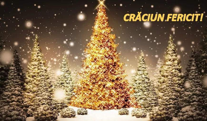 Mesaje de Crăciun, cele mai frumoase felicitări de Sărbătorile de iarnă pentru cei dragi