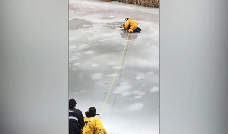 Cum a fost salvat un câine dintr-un râu îngheţat. Efort extraordinar al pompierilor VIDEO