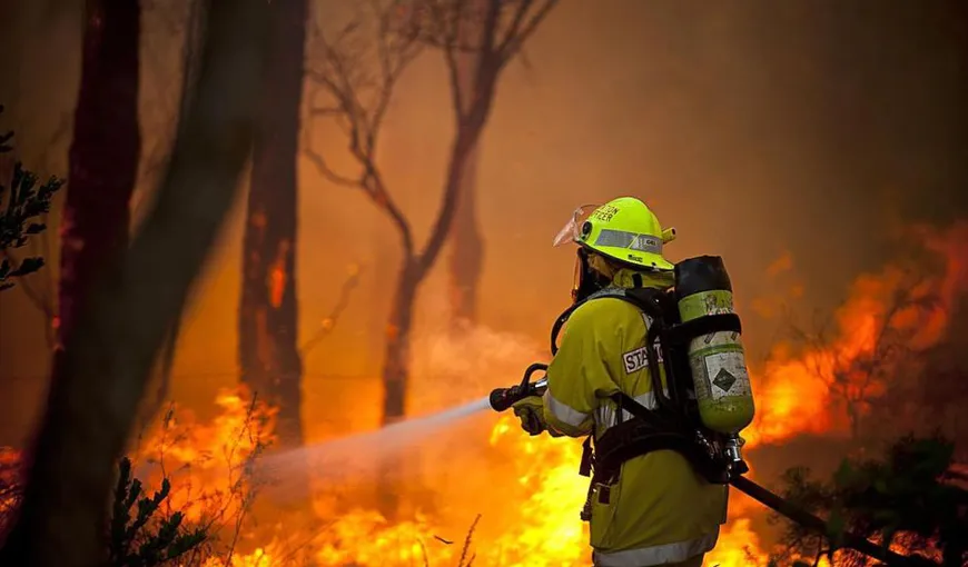 Ironia sorţii: Un pompier care făcea demonstraţii de prevenţie a declanşat un incendiu devastator