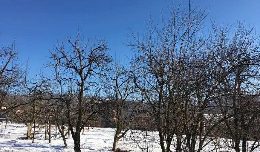 PROGNOZA METEO pentru URMĂTOARELE ZILE- Vreme frumoasă, 19 grade în sudul Munteniei şi al Dobrogei