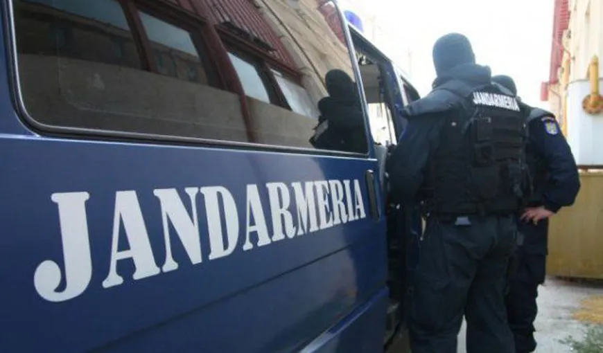 Misiune insolită: Jandarmii au fost chemaţi de o femeie care a anunţat o felină agresivă în scara unui bloc VIDEO