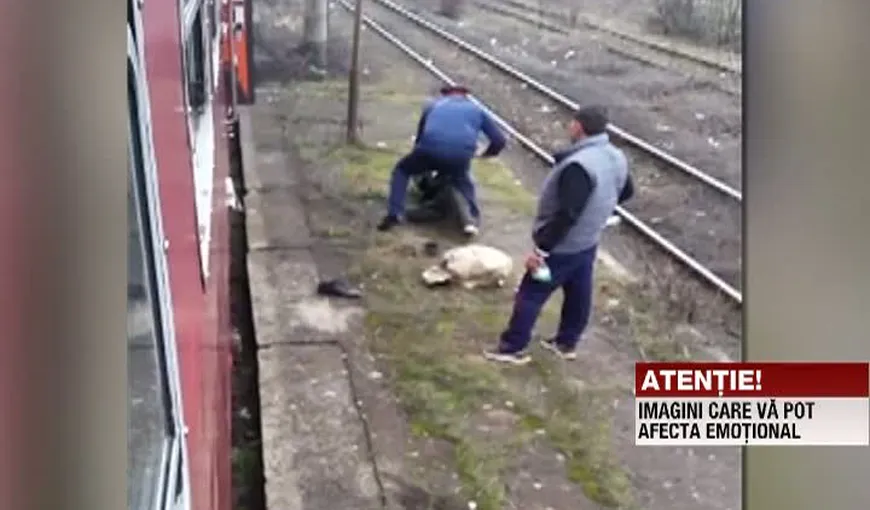 Un călător fără bilet a fost bătut crunt într-o gară din Arad. Controlorul care a participat la bătaie s-a ales cu dosar penal VIDEO