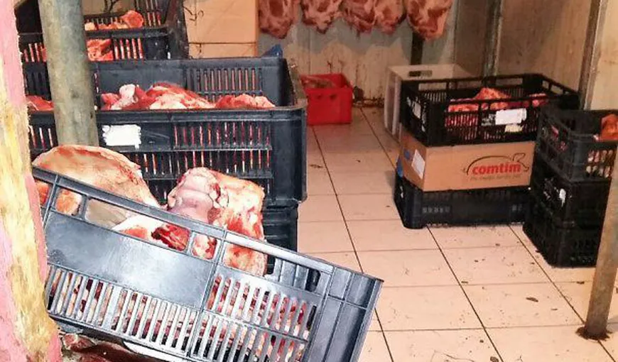 Imagini de groază dintr-o măcelărie din Constanţa. Sute de kg de carne ţinute pe jos, lângă gunoaie VIDEO