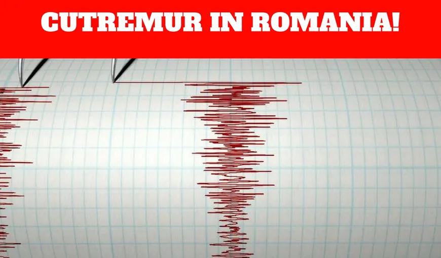 Cutremur cu magnitudine 3.8 în Vrancea