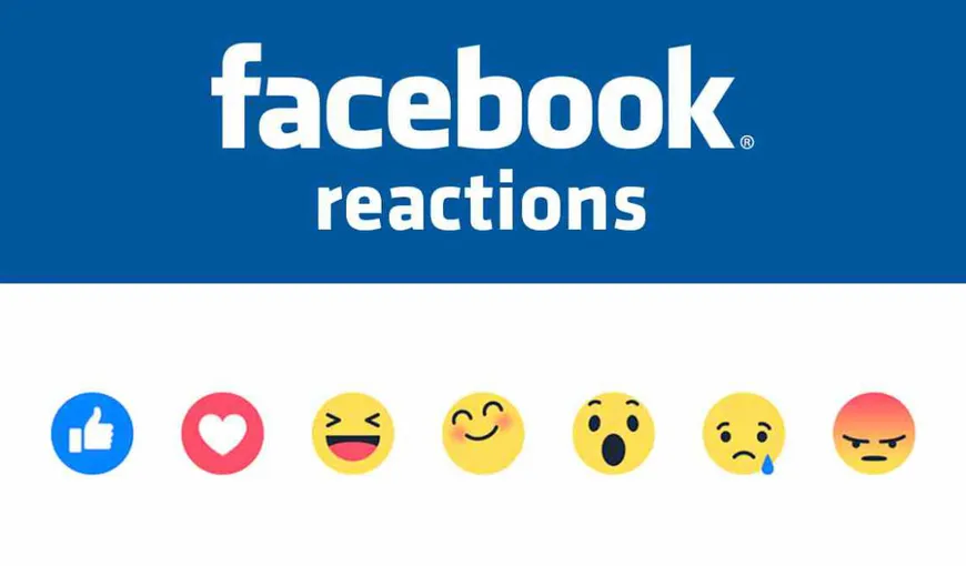Facebook ar putea renunţa la News Feed. Cu ce ar putea fi înlocuit