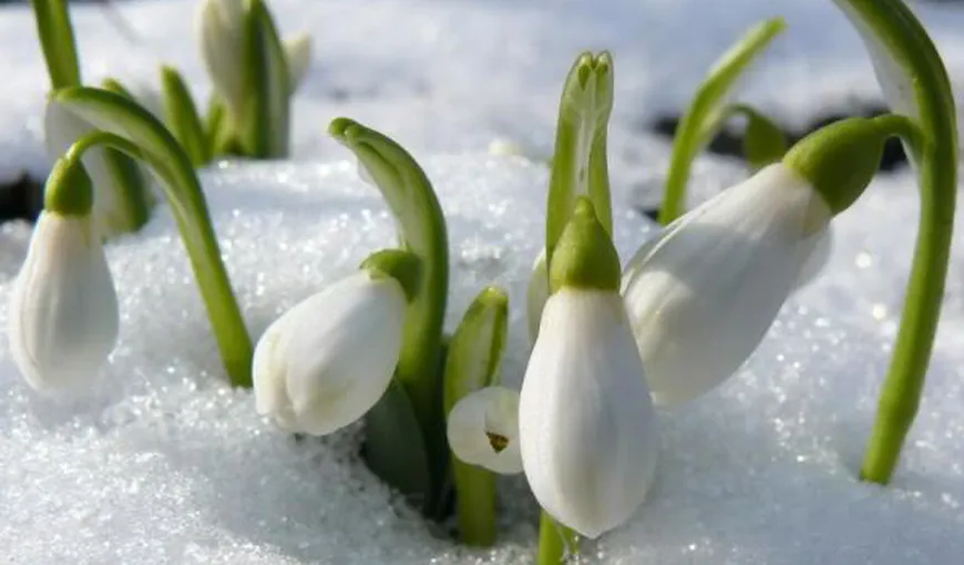 PROGNOZA METEO a primăverii: De duminică, se întorc ninsorile. Cum va fi vremea în martie şi aprilie