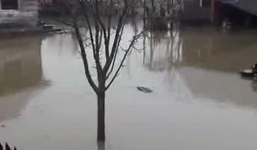 Mai multe gospodării din Maramureş au fost inundate. Pompierii au intervenit de urgenţă VIDEO