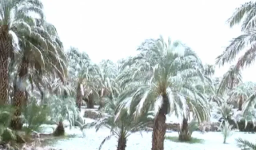 Fenomen meteo extrem de rar. Zăpadă în deşertul Marocului după 60 de ani