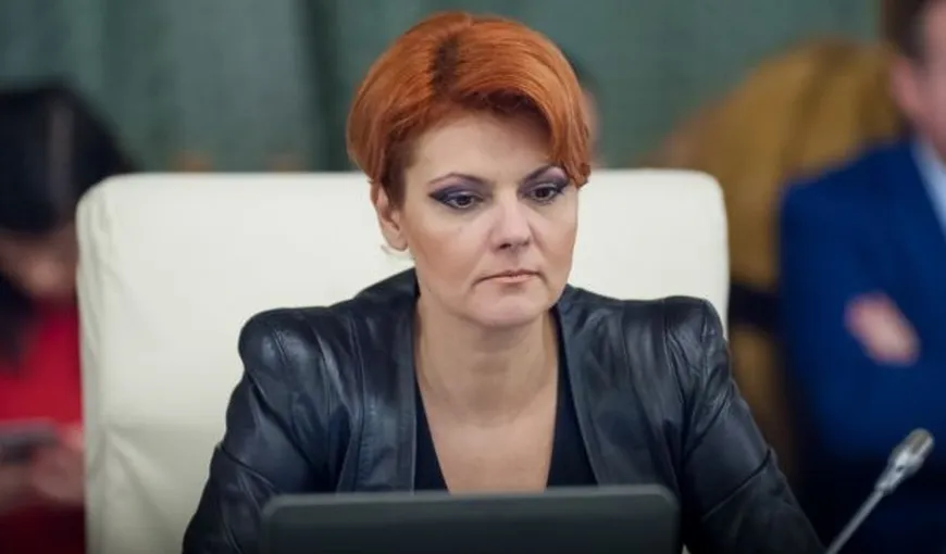 Lia Olguţa Vasilescu, invitată săptămâna viitoare la Comisia economică să explice măsurile adoptate