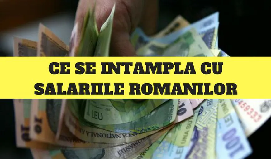 Olguţa Vasilescu, despre salariile la privat: Angajatorii mai pot apela la varianta bonusurilor până pe 31 martie