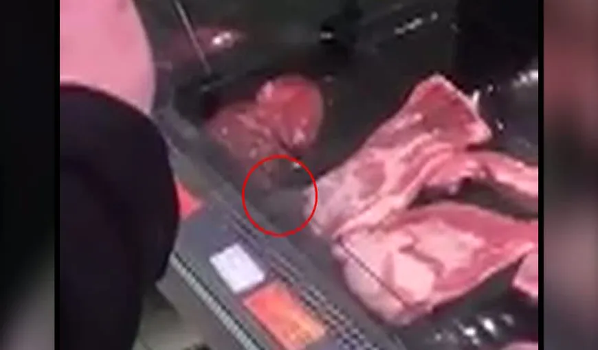 Imagini revoltătoare într-un hipermarket din Argeş. Un şoarece a fost filmat printre bucăţile de carne VIDEO