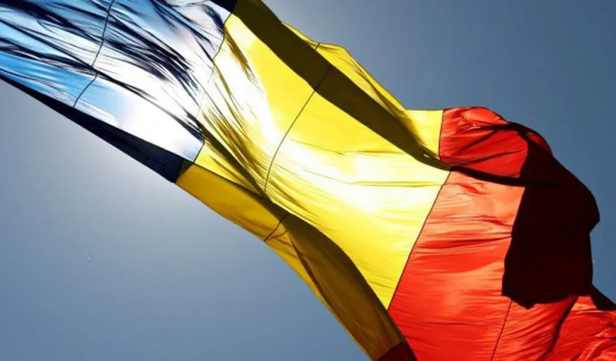 CNMR condamnă decizia Senatului României privind tăierea pădurilor virgine şi arborarea drapelului naţional!