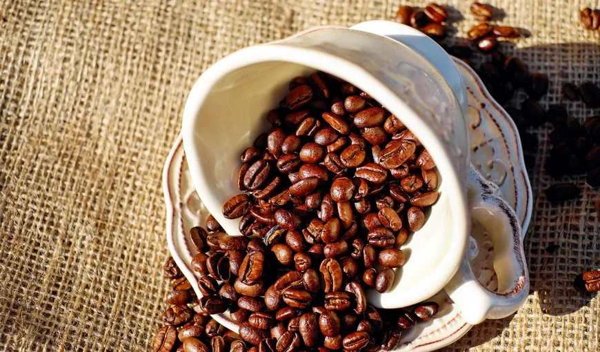 Cum să faci cafeaua perfectă. 4 reguli esenţiale de urmat