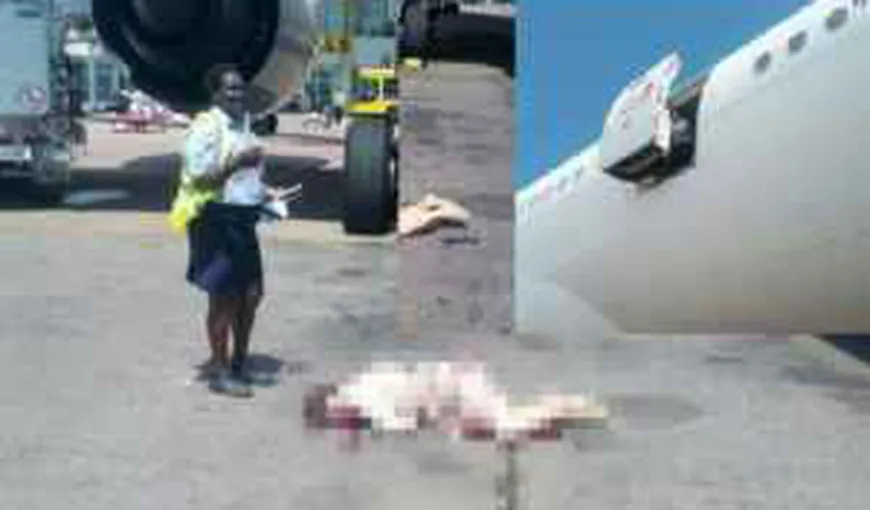 S-a sinucis aruncându-se din avion. Cine este femeia care i-a îngrozit pe pasageri FOTO