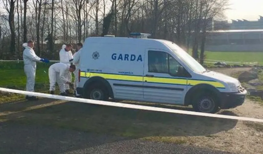 Român ucis în bătaie într-un parc din Dublin