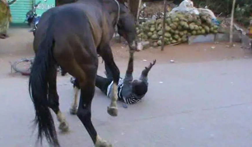 Un bărbat care îşi bătea calul a ajuns la spital în stare gravă, după ce a fost lovit de animal