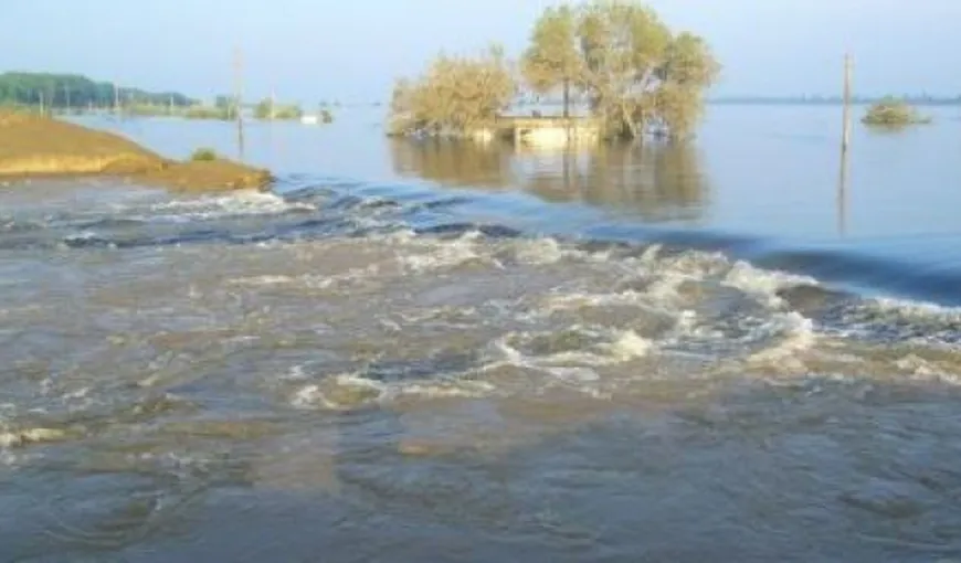 Zeci de gospodării din judeţul Tulcea au fost inundate în urma creşterii nivelului apei Dunării