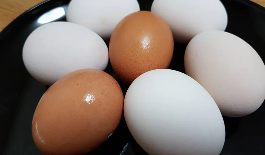 Milioane de ouă au fost retrase de pe piaţă din cauza unei epidemii de salmonella