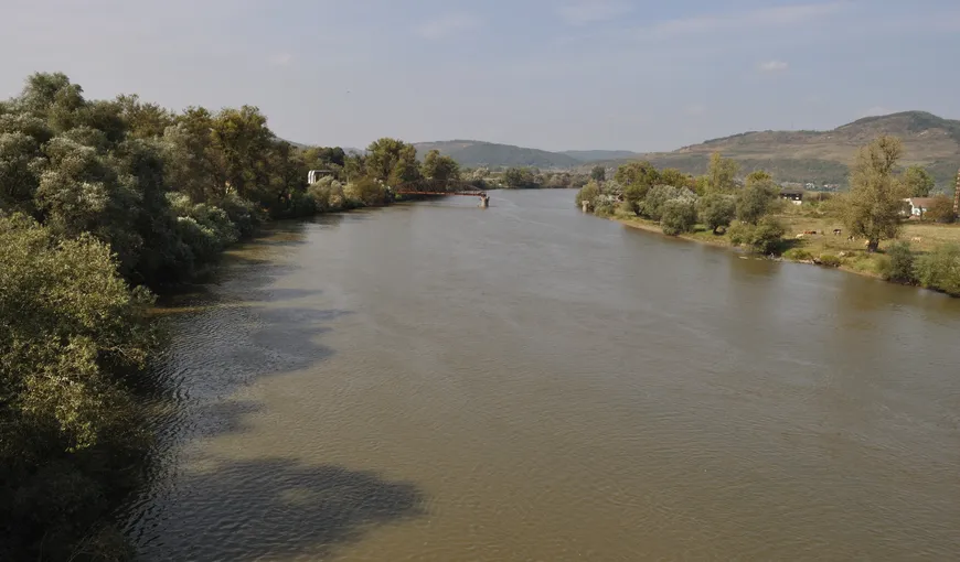 Râul Mureş, poluat accidental cu ulei de la o termocentrală a Romgaz