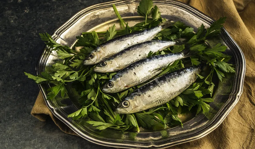 Află de ce carnea de sardine este sursa perfectă de proteine