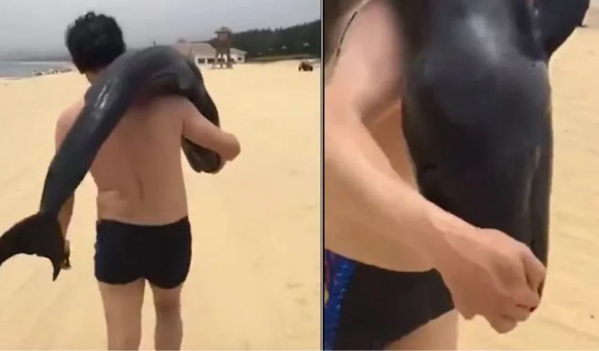 A plecat de pe plajă cu un delfin în spinare. Imaginile care i-au uluit pe internauţi şi au pus pe jar poliţia VIDEO