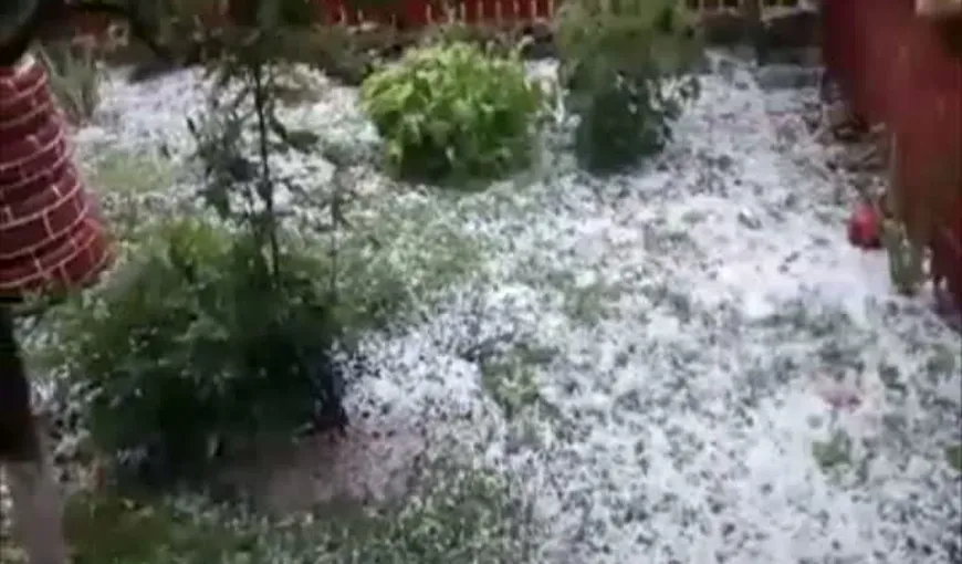 Imagini ca de iarnă surprinse în Botoşani. O furtună violentă a făcut ravagii VIDEO