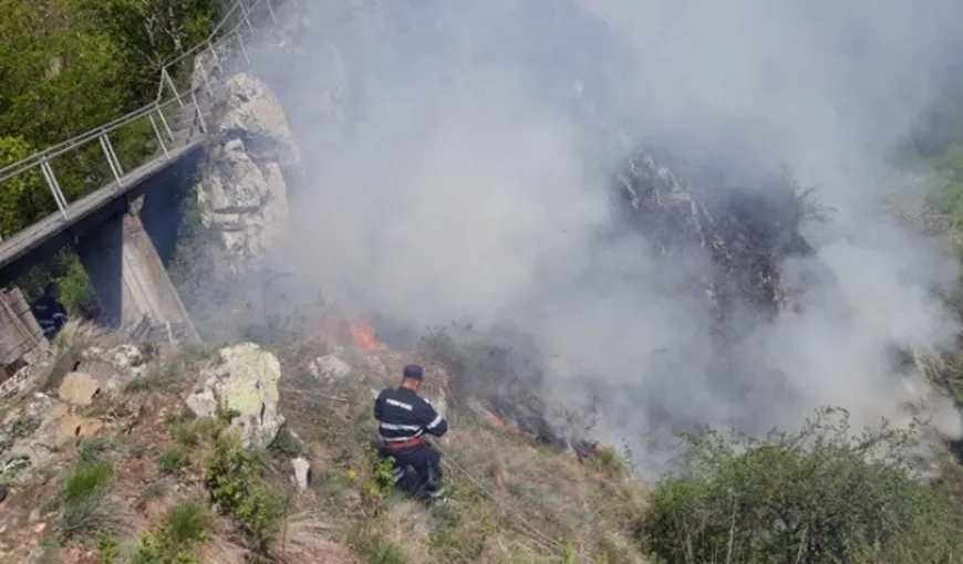 Incendiul din apropierea cetăţii Poenari a fost stins