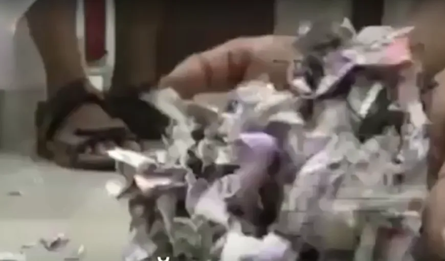 BANCNOTE FĂCUTE CONFETTI. Un şoarece a distrus 15 mii de euro dintr-un bancomat VIDEO
