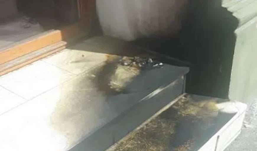 Sediul PSD din Satu Mare, atacat cu sticle incendiare