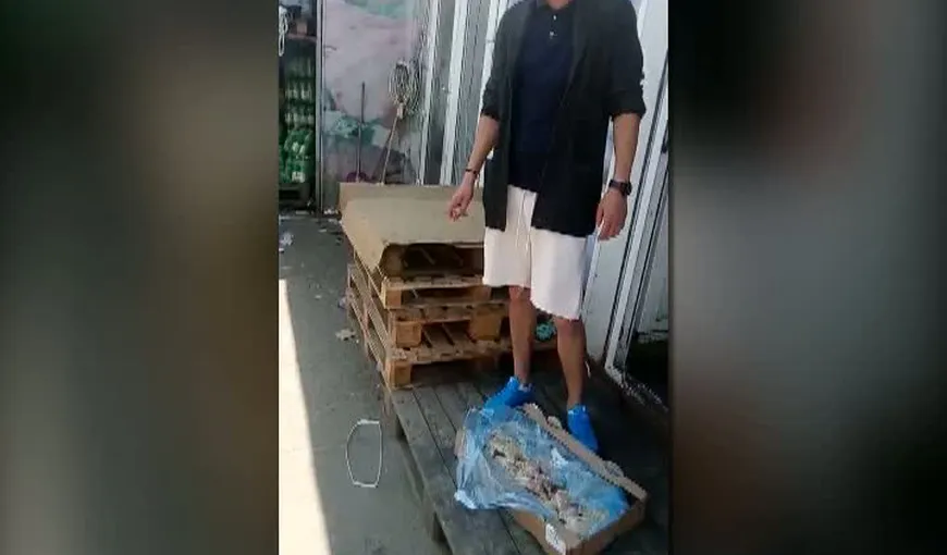 Pulpe de pui stricate, vândute cu baxul VIDEO