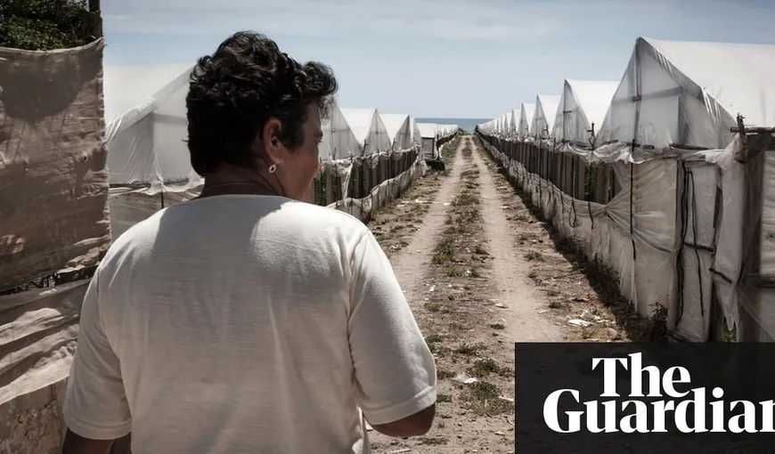 Români arestaţi în Sicilia după ce au luat pentru exploatare alţi români pe care i-au păcălit cu locuri de muncă