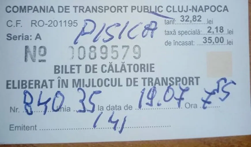 O femeie din Cluj a fost amendată pentru că a urcat cu pisica într-un autobuz. „Doar câinii pot circula”