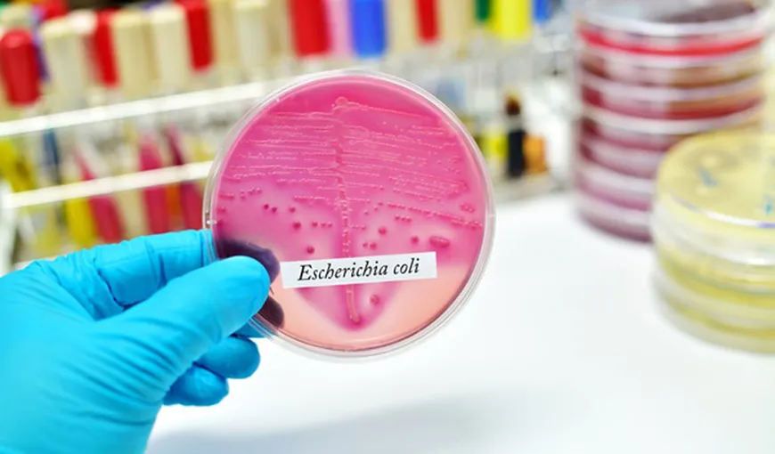 O femeie a murit după ce a mâncat, într-un restaurant din Corfu, pui contaminat cu bacteria E.coli