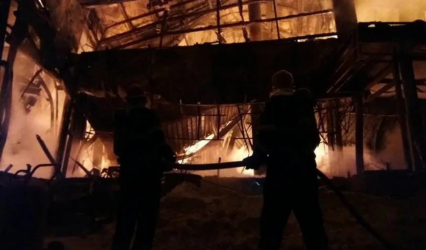 Incendiu puternic la fabrica de paleţi din Târgu Lăpuş VIDEO